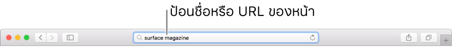 ช่องค้นหาอัจฉริยะของ Safari ที่ซึ่งคุณสามารถป้อนชื่อหรือ URL ของหน้าเว็บได้