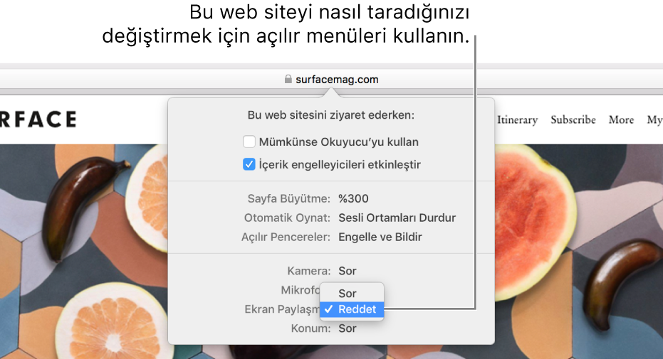 Safari > Bu Web Sitesi için Ayarlar’ı seçtiğinizde, Akıllı Arama alanının altında görünen sorgu kutusu. Kutuda, Okuyucu görüntüsünü kullanma, içerik engelleyicileri etkinleştirme ve daha pek çok şey de dahil olmak üzere, geçerli web sitesini nasıl dolaştığınızı özelleştiren seçenekler bulunur.