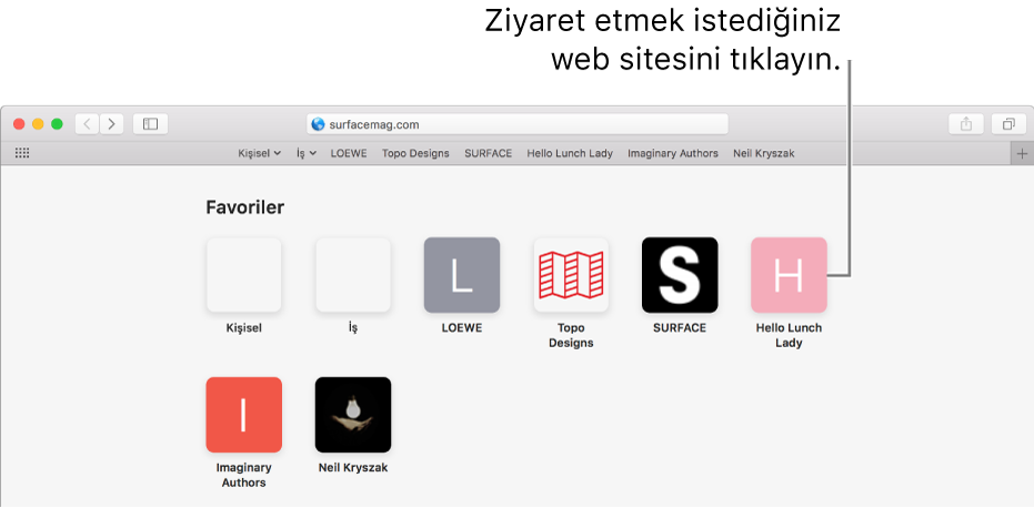 Safari adres ve arama alanı ve altında favori web sitelerinin simgeleri.