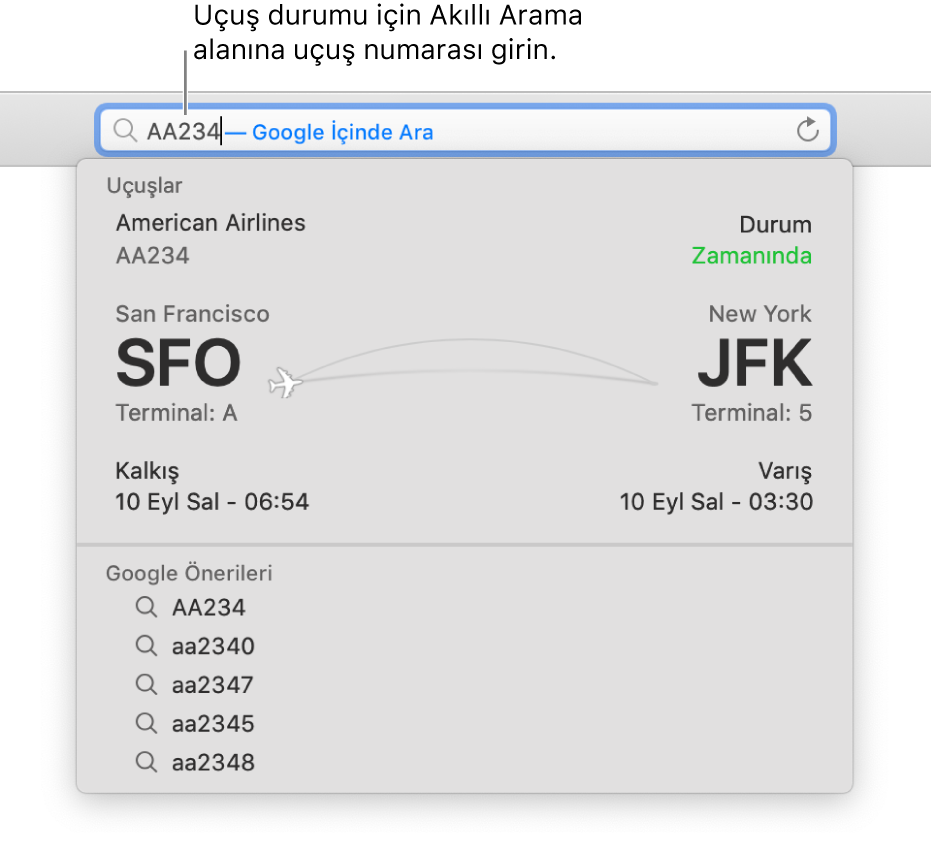 Akıllı Arama alanına girilmiş bir uçuş numarası ve hemen altında gösterilen uçuş durumu.