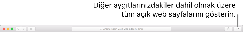 Tüm Sekmeleri Göster düğmesini gösteren araç çubuğu.