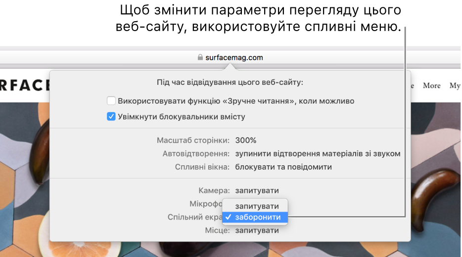 Діалогове вікно, яке відображається під розумним полем пошуку, якщо вибрати Safari > «Параметри для цього веб-сайту». Діалогове вікно містить варіанти для настроювання перегляду цього веб-сайту, включно з поданням «Зручне читання», яке дозволяє увімкнути блокувальники вмісту, тощо.