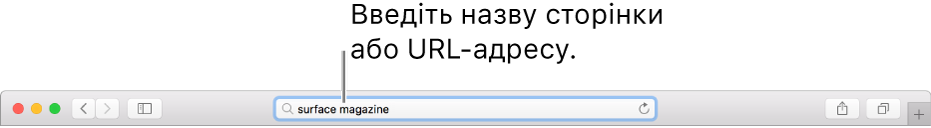 Розумне поле пошуку браузера Safari, у якому вводиться назва або URL-адреса сторінки.