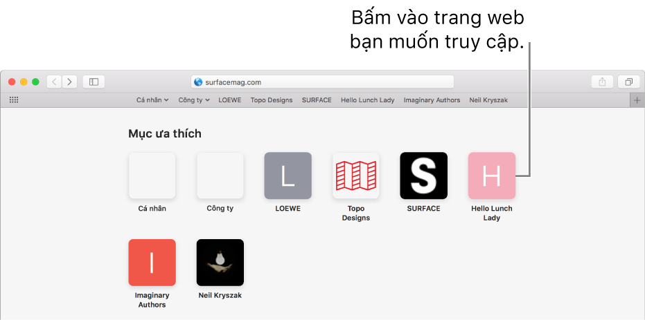 Trường tìm kiếm và địa chỉ của Safari; bên dưới là các biểu tượng của trang web ưa thích.