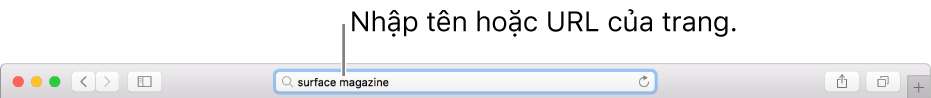 Trường Tìm kiếm thông minh của Safari, nơi bạn có thể nhập tên hoặc URL của trang.