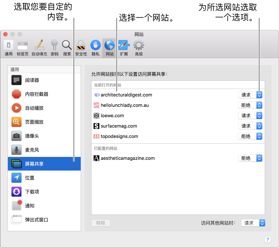 Safari 浏览器偏好设置中的“网站”面板，您可以在其中自定浏览单个网站的方式。