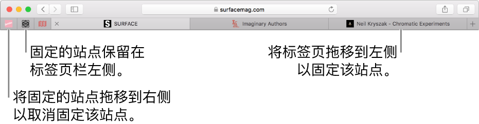 Safari 浏览器标签页栏中固定的站点。