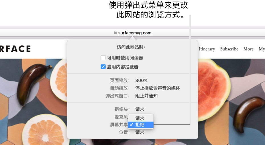 当您选取“Safari 浏览器”>“此网站的设置”时，出现在智能搜索栏下方的对话框。包含自定浏览当前网站方式选项的对话框，其中包括使用阅读器视图、启用内容拦截器等。