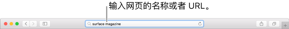 Safari 浏览器智能搜索栏，可在此输入页面的名称或 URL。