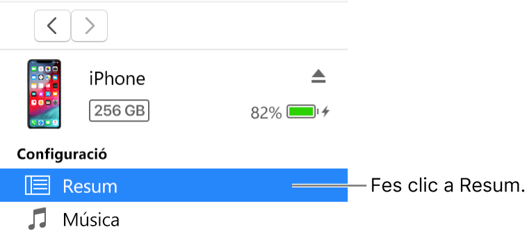 La finestra del dispositiu amb l’opció Resum seleccionada a la barra lateral de l’esquerra.