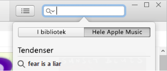 Søgefeltet til Apple Music.