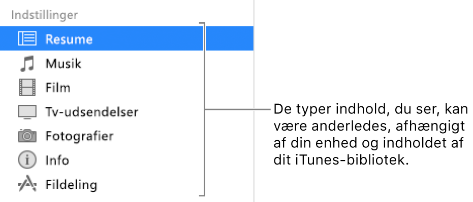 Resume er valgt i indholdsoversigten til venstre. De typer indhold, der vises, kan variere, afhængigt af din enhed og indholdet af dit iTunes-bibliotek.