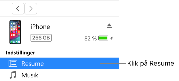 Enhedsvinduet med Resume valgt i indholdsoversigten til venstre.