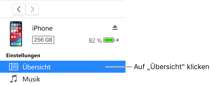 Das Fenster „Gerät“ mit links in der Seitenleiste ausgewählter Option „Übersicht“