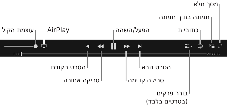 פקדי וידאו: ״עוצמת קול״, AirPlay, הסרט הקודם, סרוק אחורה, ״הפעל״/״השהה״, סרוק קדימה, הסרט הבא, בורר הפרקים (עבור סרטים בלבד), ״כתוביות״, ״תמונה בתוך תמונה״ ו״מסך מלא״.