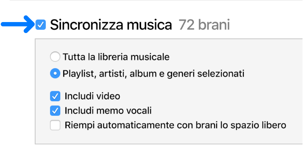 La voce “Sincronizza musica”, vicino alla parte superiore sinistra, è selezionata e mostra le opzioni per sincronizzare l'intera libreria o solo gli elementi selezionati.