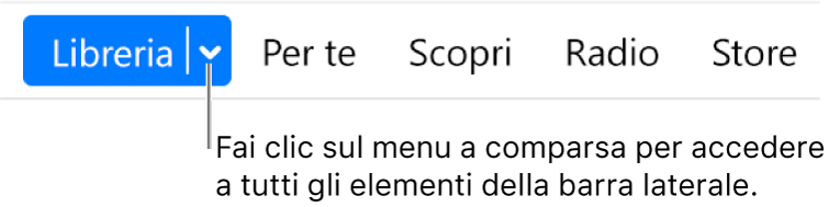 Il pulsante Libreria nella barra di navigazione, che mostra il menu a comparsa; fai clic su di esso per accedere a tutti gli elementi della barra laterale quando questa è nascosta.