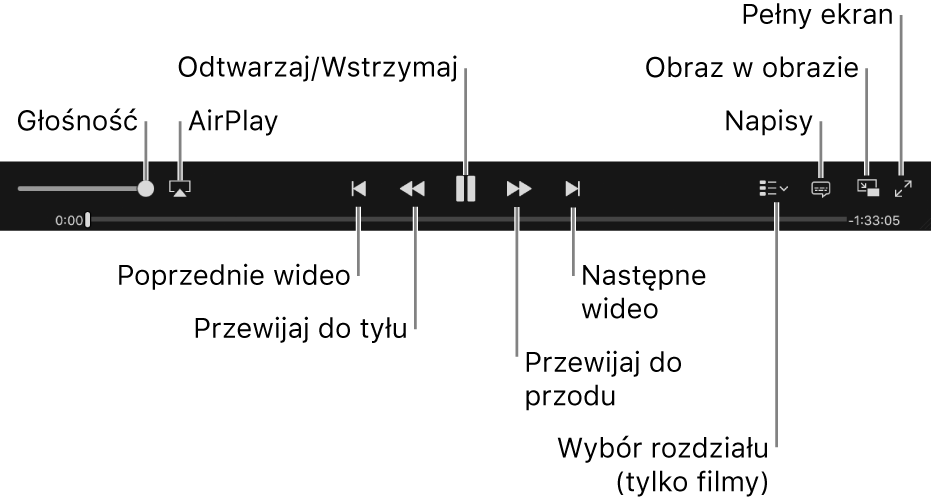 Narzędzia wideo: Głośność, AirPlay, poprzednie wideo, przewijanie do tyłu, odtwarzanie/wstrzymanie, przewijanie do przodu, następne wideo, wybór rozdziału (tylko filmy), napisy, obraz w obrazie oraz pełny ekran.