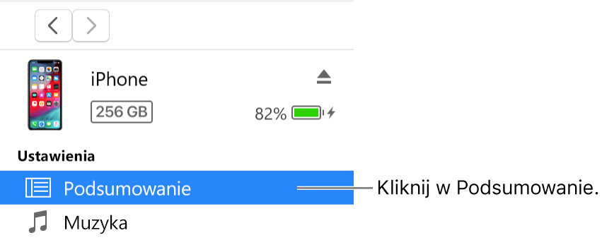 Okno urządzenia z pozycją Podsumowanie zaznaczoną na pasku bocznym po lewej.