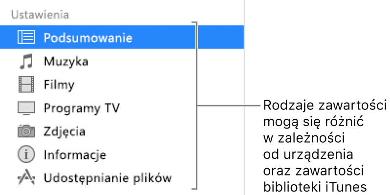 Na pasku bocznym po lewej zaznaczona jest pozycja Podsumowanie. Wyświetlane typy materiałów zależą od używanego urządzenia oraz zawartości biblioteki iTunes