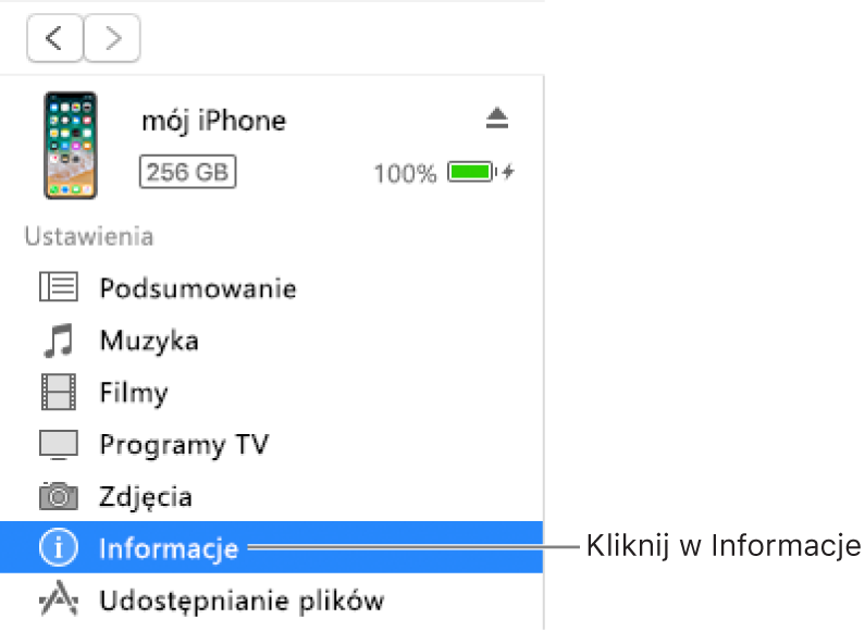 Okno Urządzenie z zaznaczoną na pasku bocznym po lewej stronie opcją Informacje.