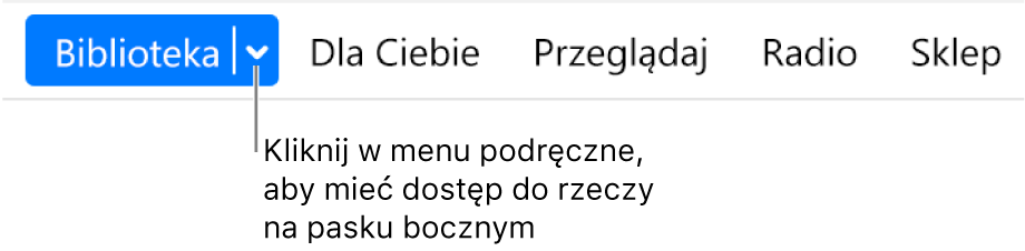 Przycisk Biblioteka na pasku nawigacji, zawierający menu podręczne. Kliknij w ten przycisk, aby uzyskać dostęp do wszystkich elementów paska bocznego, gdy pasek boczny jest ukryty.