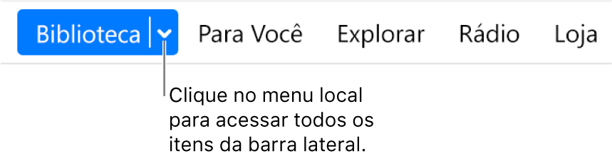 O botão Biblioteca na barra de navegação, mostrando o menu pop-up. Clique nele para acessar todos os itens da barra lateral quando você ocultar a barra lateral.