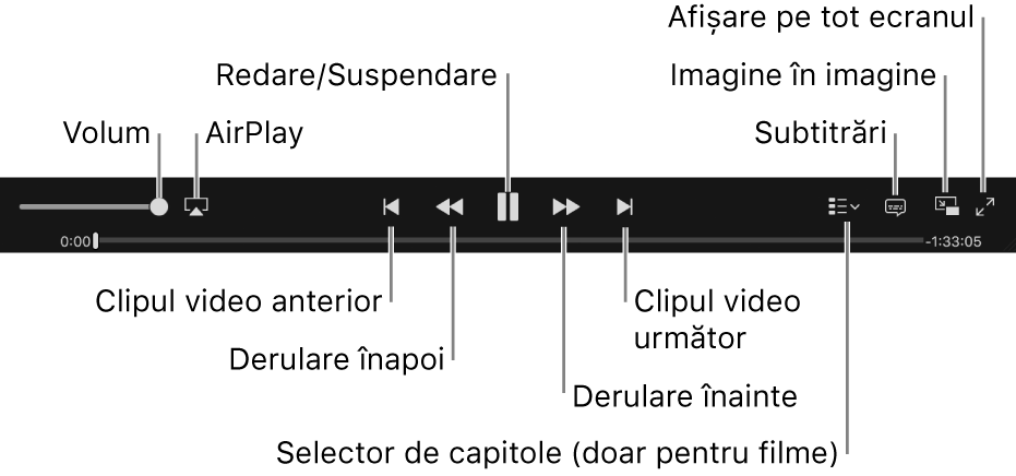 Comenzi video: Volum, AirPlay, Clipul video anterior, Derulare înapoi, Redare/Suspendare, Derulare înainte, Clipul video următor, Selector de capitole (doar pentru filme), Subtitrări, Imagine în imagine și Afișare pe tot ecranul.