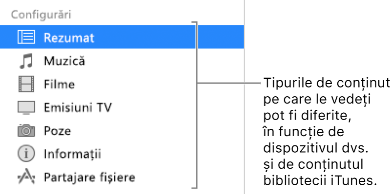 Secțiunea Rezumat este selectată în bara laterală din stânga. Tipurile de conținut care apar pot varia în funcție de dispozitivul dvs. și de conținutul bibliotecii dvs. iTunes.