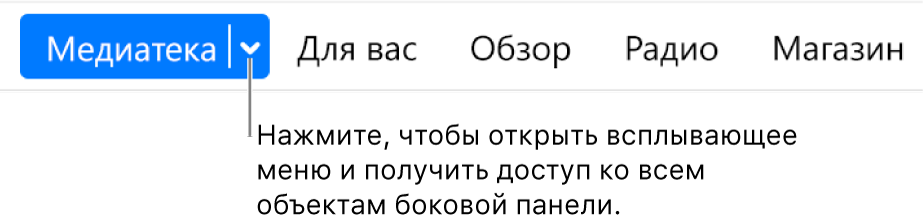 Кнопка «Медиатека» в панели навигации со всплывающим меню; нажмите ее для доступа ко всем объектам бокового меню, если оно скрыто.