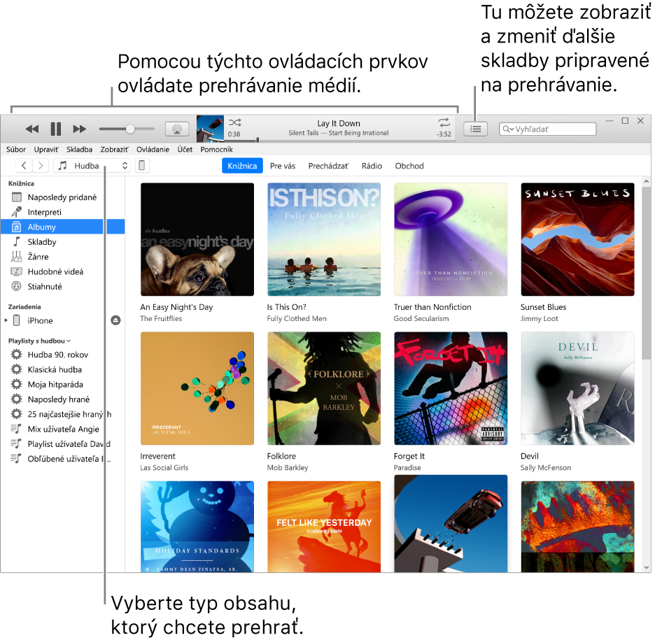 Hlavné okno knižnice iTunes: V navigátore vyberte typ média, ktoré chcete prehrávať (napríklad Hudba). Pomocou ovládacích prvkov na banneri v hornej časti môžete prehrávať svoje médiá a pomocou vyskakovacieho menu Nasleduje, ktoré sa nachádza na pravej strane, môžete zobrazovať svoju knižnicu rôznymi spôsobmi.