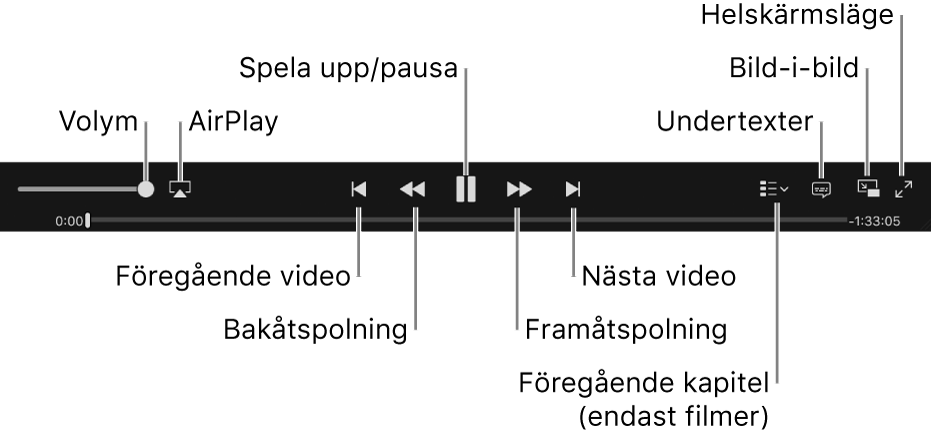 Videoreglage: Volym, AirPlay, föregående video, spola bakåt, uppspelning/paus, spola framåt, nästa video, kapitelväljare (endast filmer), undertexter, bild-i-bild och helskärmsläge.