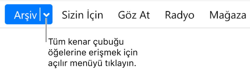 Açılır menüyü gösteren, dolaşma çubuğundaki Arşiv düğmesi; kenar çubuğunu gizlediğinizde tüm kenar çubuğu öğelerine erişmek için tıklayın.