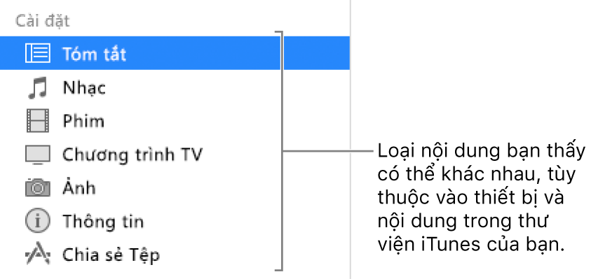Tóm tắt được chọn trong thanh bên phía bên trái. Loại nội dung xuất hiện có thể thay đổi, tùy thuộc vào thiết bị và nội dung của thư viện iTunes của bạn.
