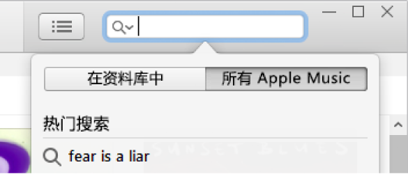 Apple Music 的搜索栏。