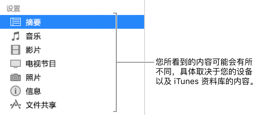 左侧边栏中“摘要”已选中。所显示的内容类型因您设备和 iTunes 资料库中内容的不同而有所不同。
