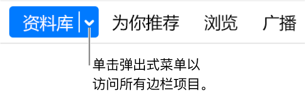 导航栏中的“资料库”按钮，显示弹出式菜单；单击即可在边栏隐藏时访问所有边栏项目。