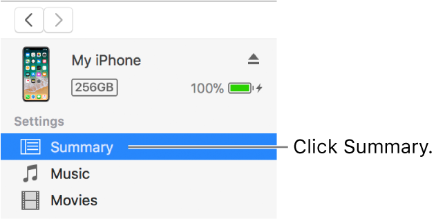 The Device window, with Summary selected in the sidebar on the left.