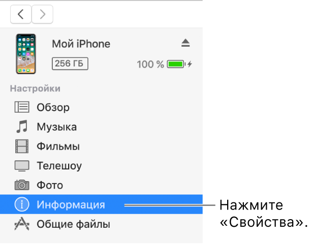 Окно устройства с выбранным пунктом «Информация» в боковом меню слева.