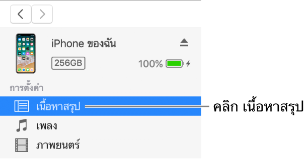 หน้าต่างอุปกรณ์ที่มีเนื้อหาสรุปถูกเลือกอยู่ในแถบด้านข้างที่ด้านซ้าย