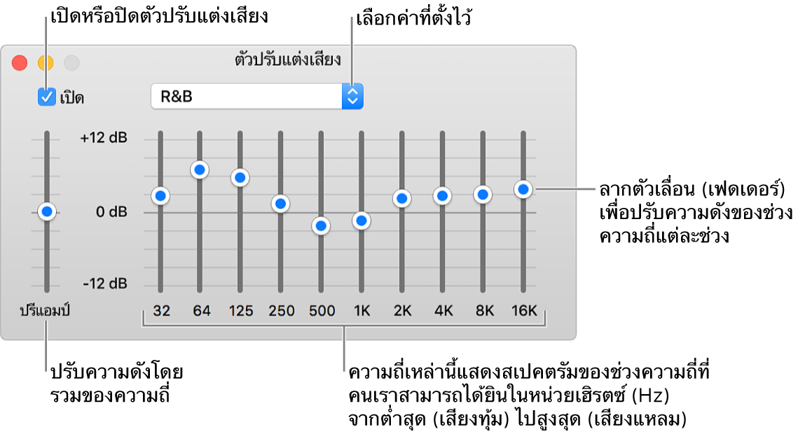 หน้าต่างตัวปรับแต่งเสียง: กล่องกาเครื่องหมายเพื่อเปิดตัวปรับแต่งเสียง iTunes อยู่ที่มุมด้านซ้ายบน ถัดจากกล่องข้อความคือเมนูที่แสดงขึ้นพร้อมค่าที่ตั้งไว้ของตัวปรับแต่งเสียง ในด้านซ้ายถัดออกไป ให้ปรับระดับเสียงโดยรวมของความถี่ด้วยปรีแอมป์ ด้านล่างค่าที่ตั้งไว้ของตัวปรับแต่งเสียง ให้ปรับระดับเสียงของช่วงความถี่ที่ต่างกันซึ่งแสดงถึงสเปกตรัมการได้ยินของมนุษย์จากต่ำสุดไปสูงสุด