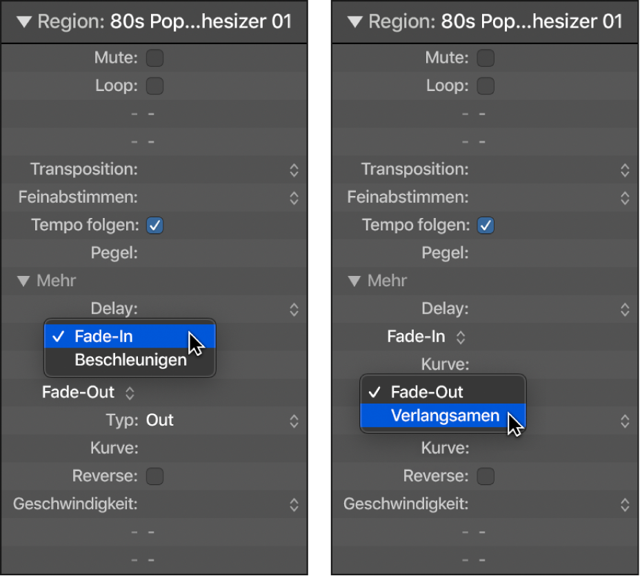 Abbildung. Parameter „Beschleunigen“ und „Verlangsamen“ im Informationsfenster „Region“