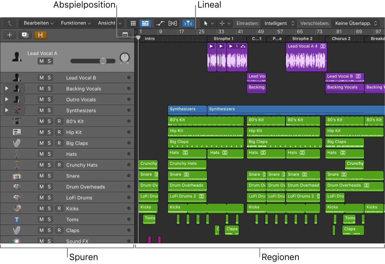 Abbildung. Bereich „Spuren“ mit Spuren und Regionen, der Abspielposition und dem Lineal