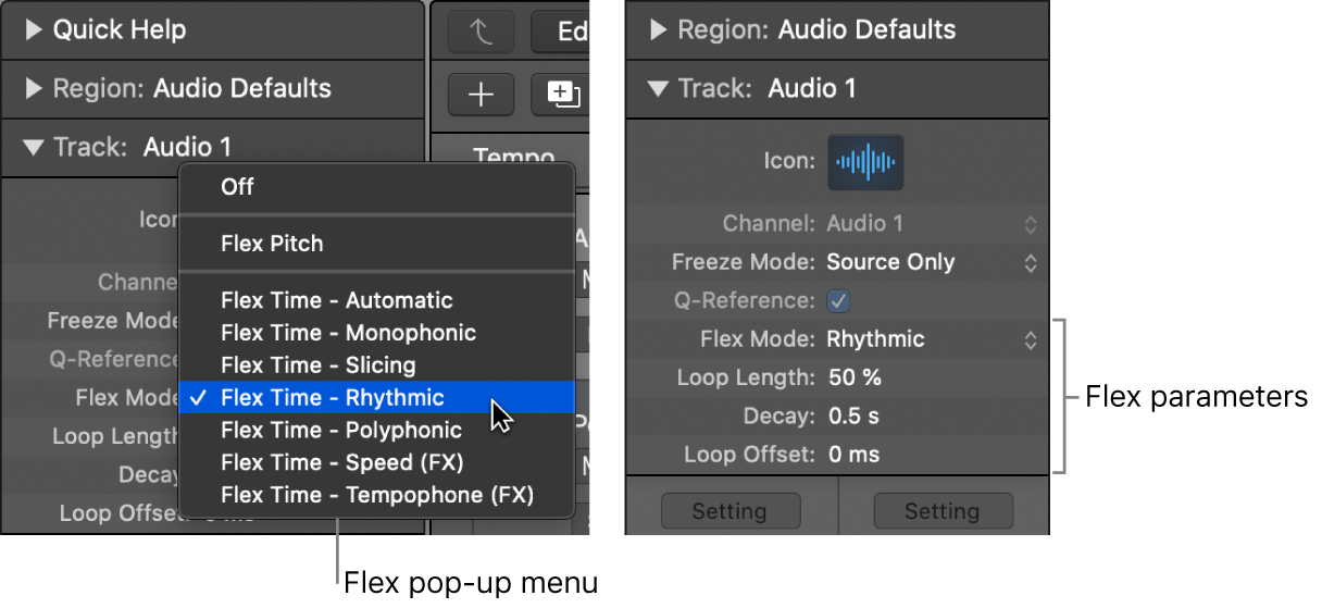 Figure. Track inspector showing Flex algorithms and parameters.