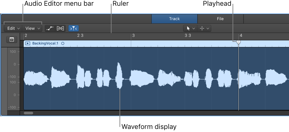 Figure. The Audio Track Editor.