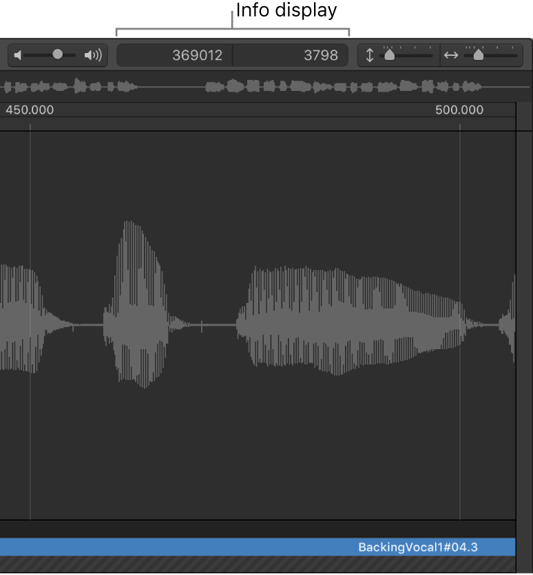 Figure. Info display in the Sample Editor.