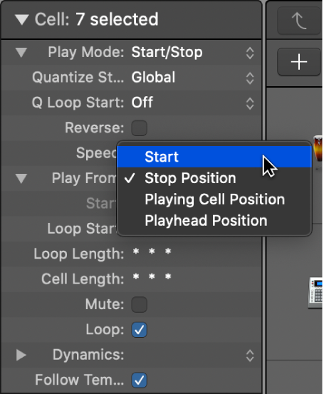 Figure. Play From setting in the Cell inspector.