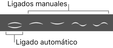 Ilustración. Caja de componentes con ligados automáticos y manuales.