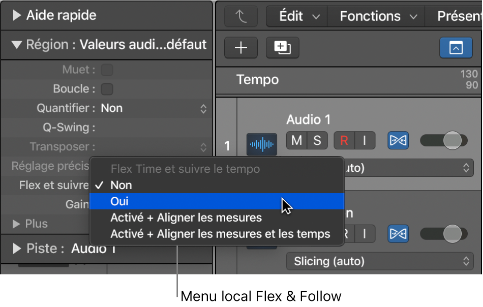 Figure. Menu Flex et suivre dans l’inspecteur de région.