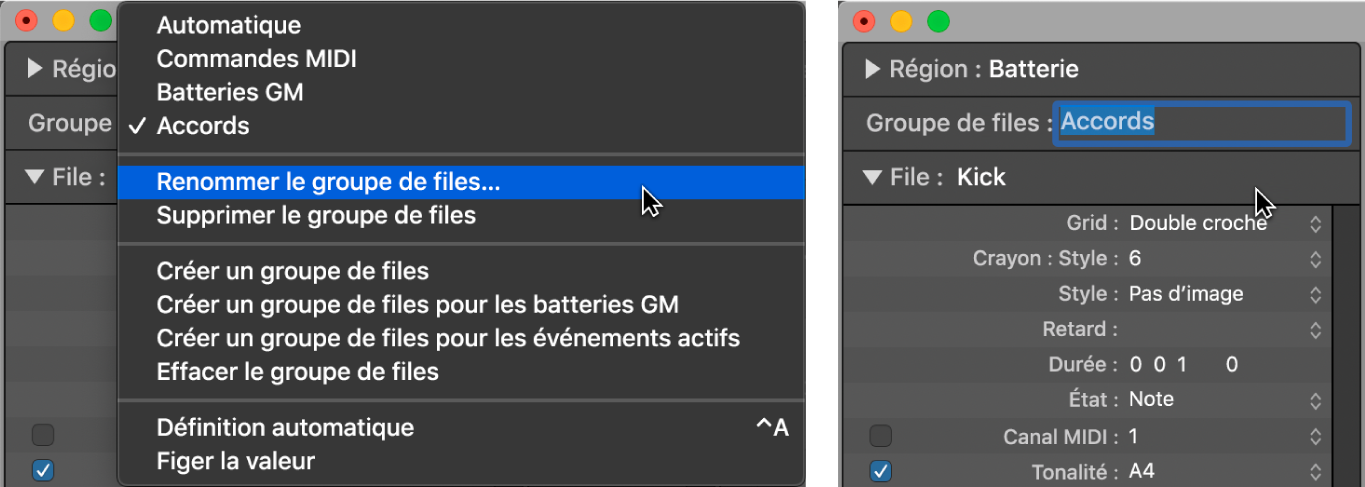 Figure. Saisie d’un nom de groupe de voies dans l’inspecteur.